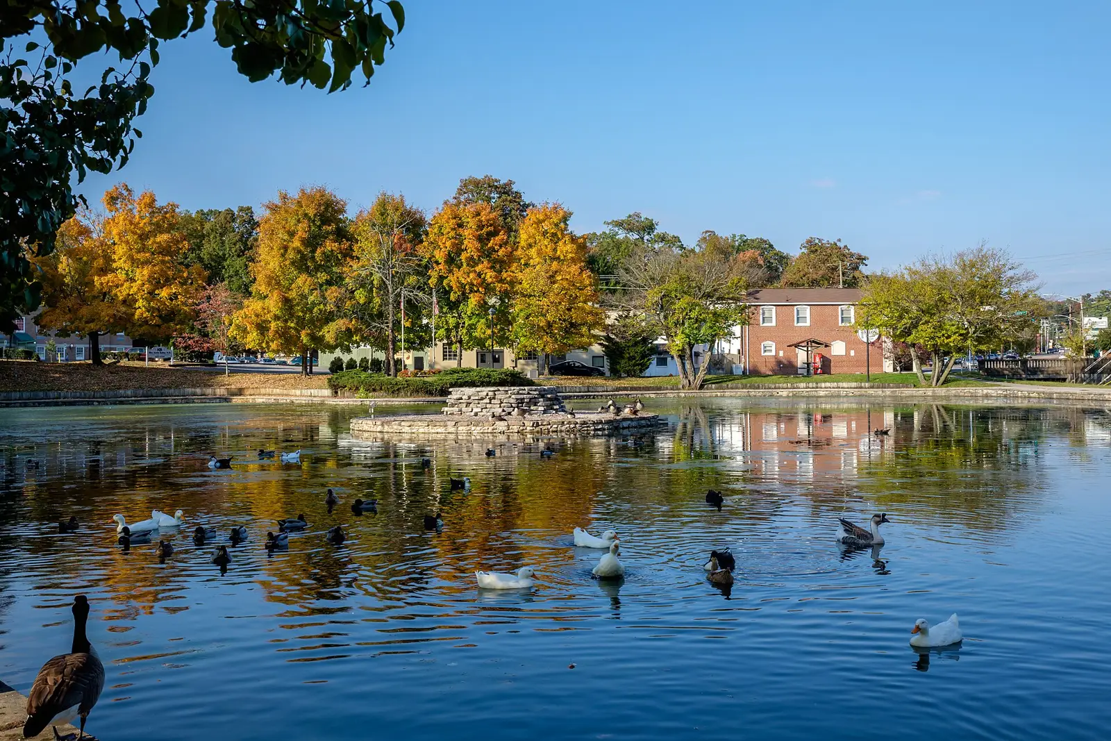 Fall color around Fountain City Lake in north Knoxville.