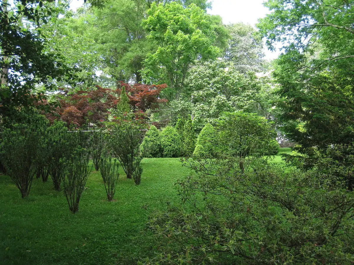 Shrubs, maples and lawn in spring at the Knoxville Botanical Garden and Arboretum on Wimpole Avenue.