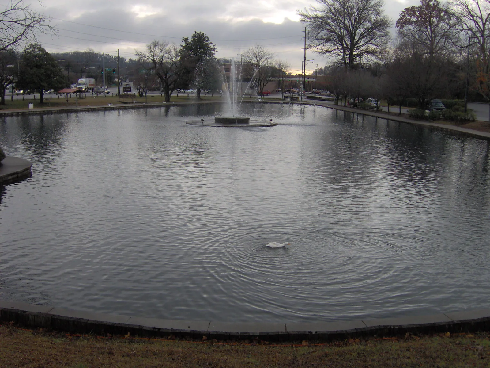 The heart-shaped lake in Fountain City Park, known as the Fountain City duck pond, in North Knoxville.