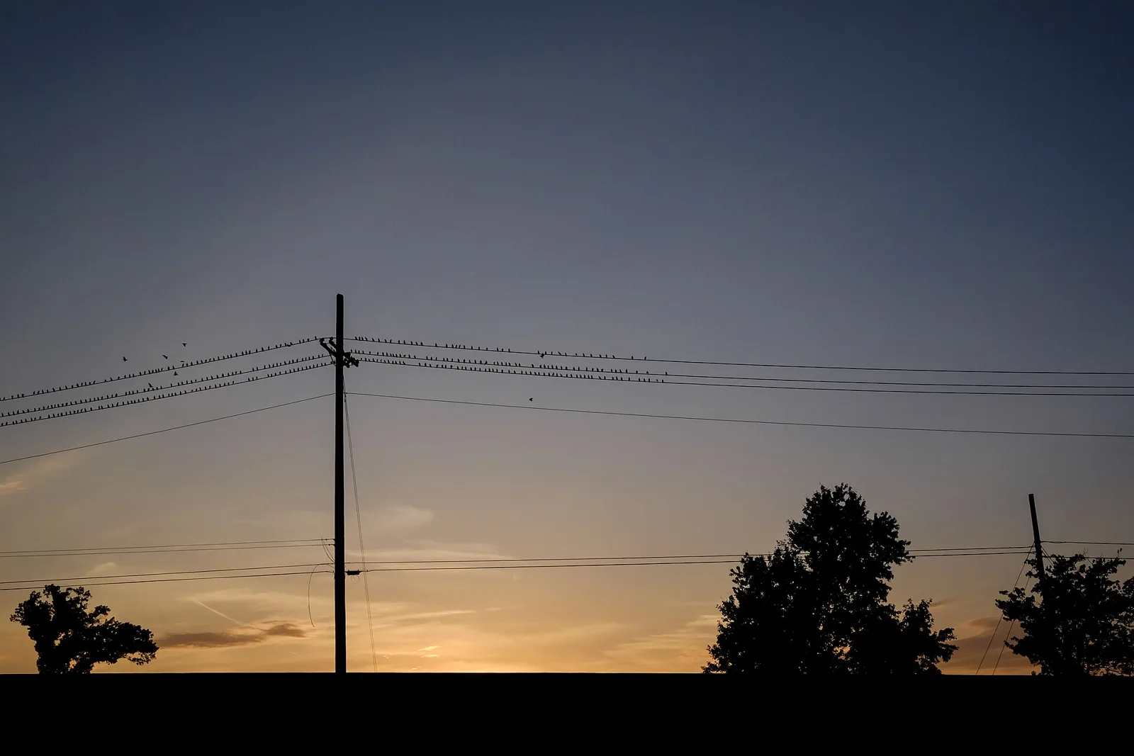 Daily Debrief for Oct. 30: Public safety, Today and this week