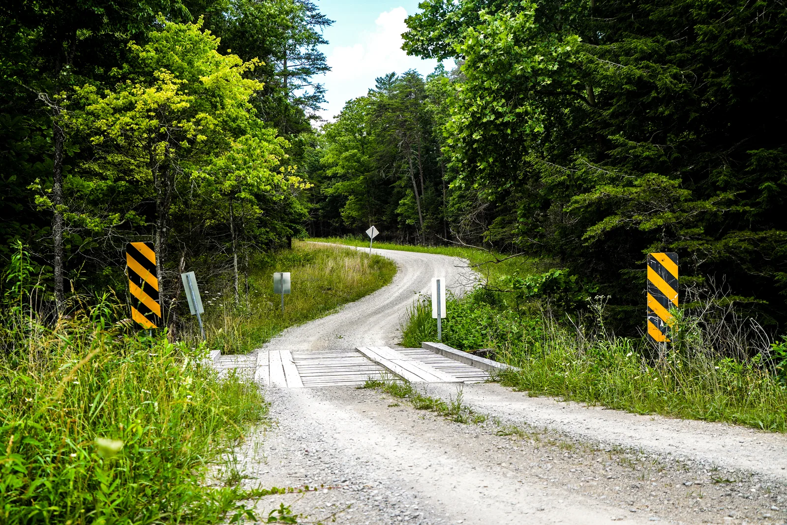 A gravel road crossing a small wooden bridge through thick forest, with yellow and black hazard markers on both sides.