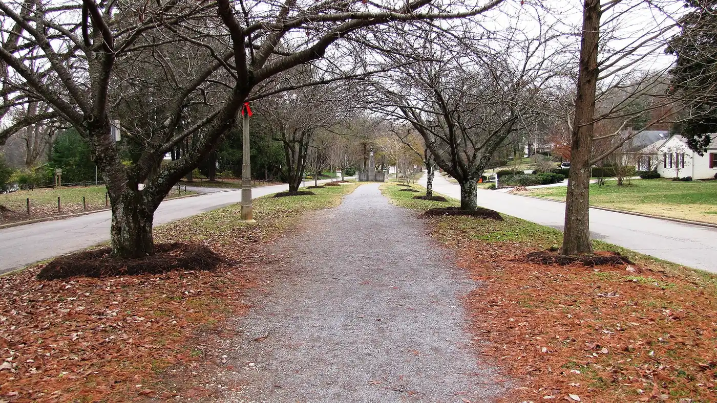 The Sequoyah Greenway running down the tree-lined median of Cherokee Boulevard in Sequoyah Hills, West Knoxville.